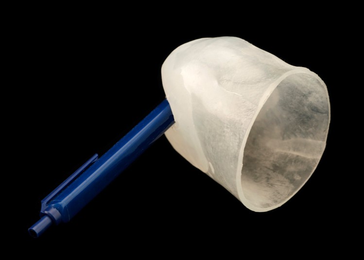 A side view of the silicone cap and pen.